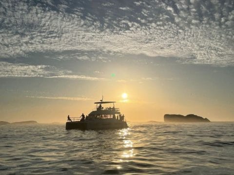 Champagne Sunset Cruise