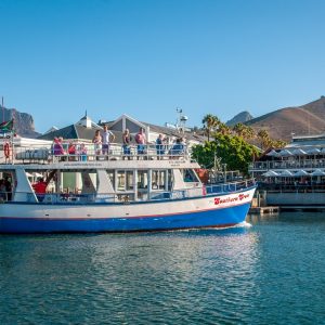 30-Minute Seal & Harbour Cruise