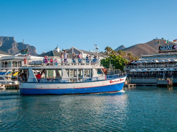 30-Minute Seal & Harbour Cruise