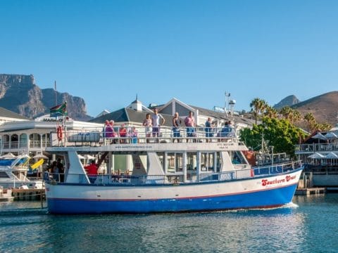 30-Minute Seal & Harbour Cruise