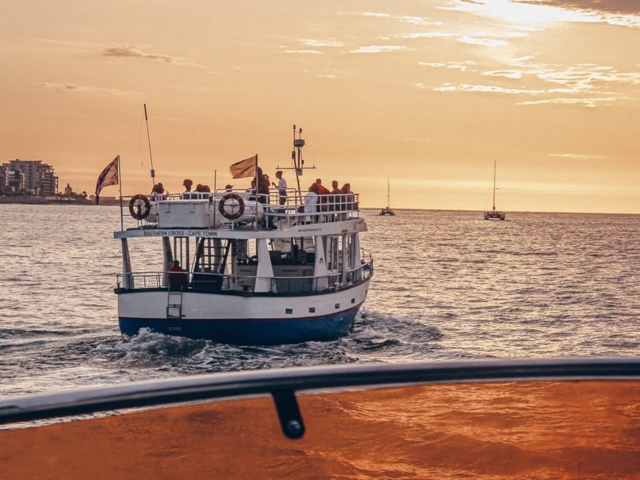 30-Minute Seal & Harbour Cruise 2 30-Minute Seal & Harbour Cruise - Image 2